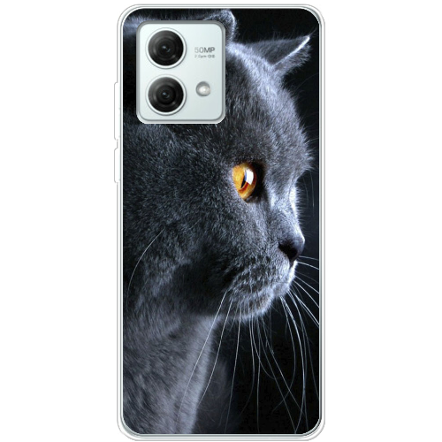 Чехол BoxFace Motorola G84 English cat