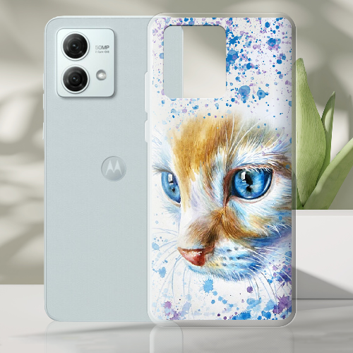 Чехол BoxFace Motorola G84 Голубоглазый Кот