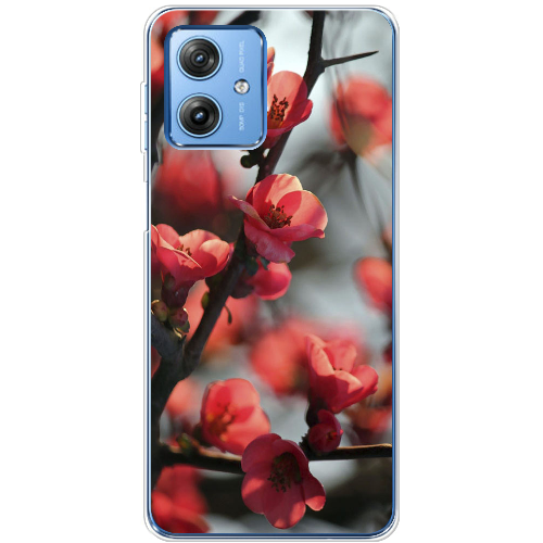 Чехол BoxFace Motorola G54 Power Awakening Spring