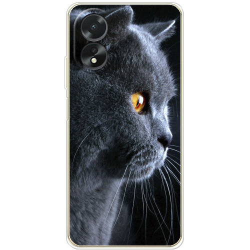 Чехол Boxface OPPO A18 4G English cat