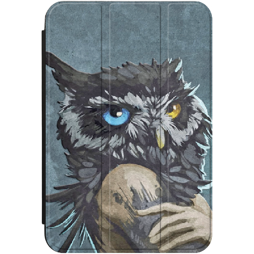 Чехол для iPad 10.2" 7/8/9 (2021/2020/2019) Owl Woman