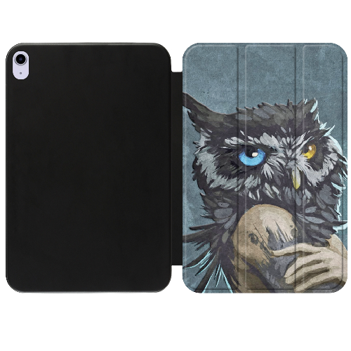 Чехол для iPad Air 10.9" 4/5 (2020/2022) Owl Woman