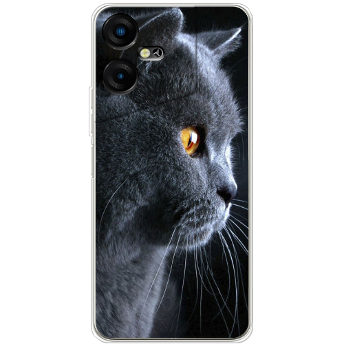 Чехол BoxFace Tecno POVA Neo 3 English cat