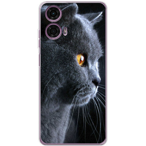 Чехол BoxFace Motorola G24 English cat