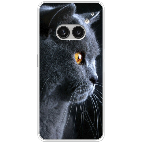 Чехол BoxFace Nothing Phone (2a) English cat