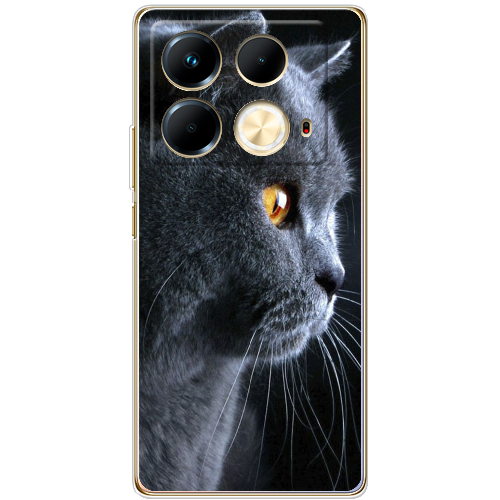 Чехол BoxFace Infinix Note 40 4G English cat