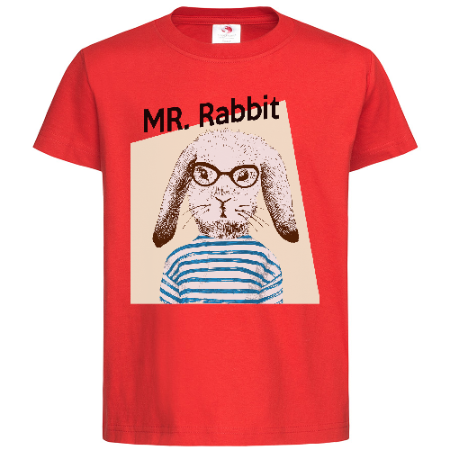 Футболка мужская Mr Rabbit