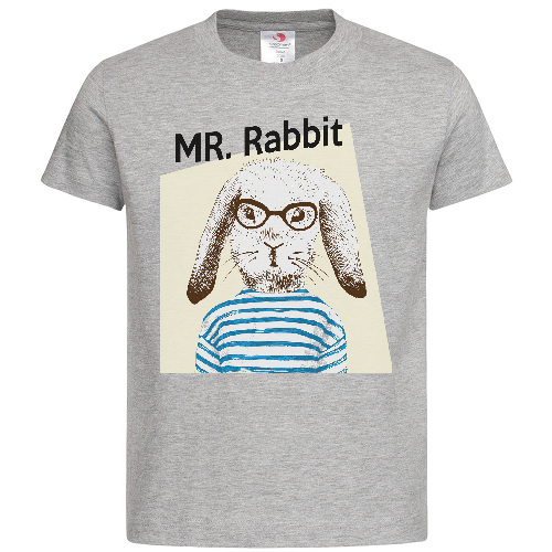 Футболка мужская Mr Rabbit