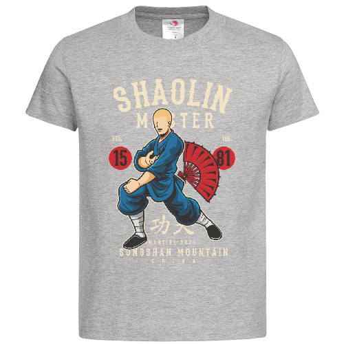 Футболка мужская Shaolin Master