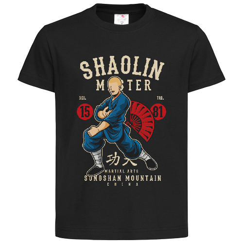 Футболка мужская Shaolin Master