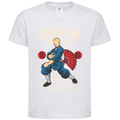 Футболка мужская Shaolin Master