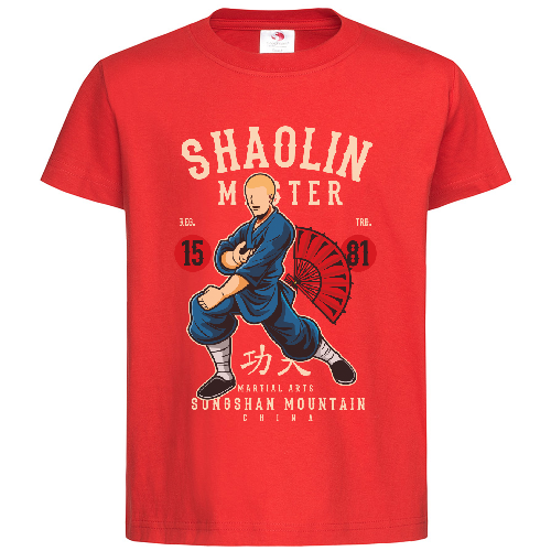 Футболка мужская Shaolin Master