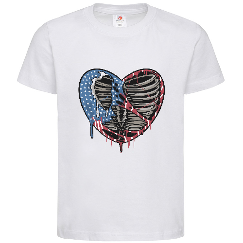 Футболка мужская a torn heart with the colors of the united states flag