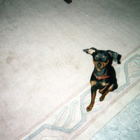 profile-picture