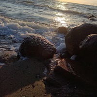 profile-picture