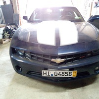 profile-picture