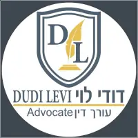 דודי לוי