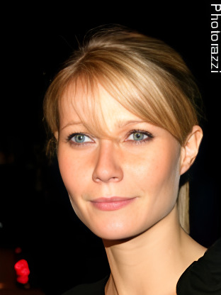 Gwyneth Paltrow — celebrity look-alike to Anne Heche