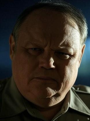 Person who looks like Brendan Gleeson