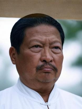Person who looks like Tadanobu Asano
