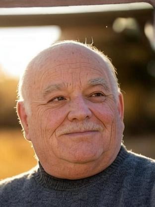 Person who looks like Timothy West