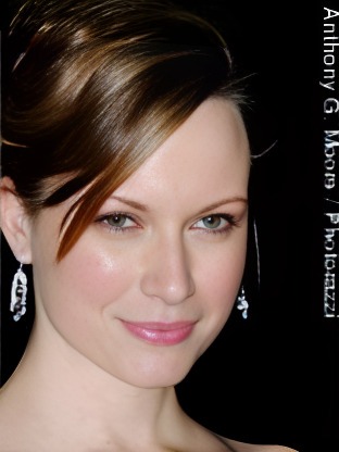 Person who looks like Rosemarie DeWitt