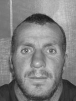 Person who looks like Gale Harold