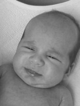 Person who looks like Danny DeVito