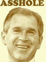 Person who looks like George W. Bush