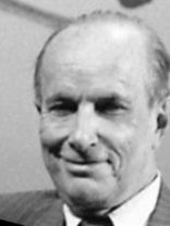 Person who looks like Bruce Willis