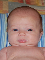 Person who looks like William H. Macy