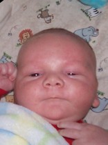 Person who looks like Donald Trump