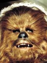 Person who looks like Cynthia Preston