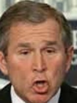 Person who looks like George W. Bush