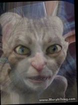 Person who looks like Rachel Dratch