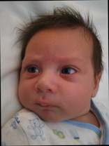 Person who looks like Chris Cooper