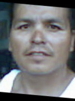 Person who looks like Erik Estrada