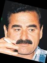 Person who looks like Tom Selleck