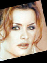 Person who looks like Diane Neal