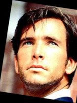 Person who looks like Pierce Brosnan