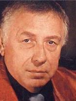 Person who looks like Tim Roth