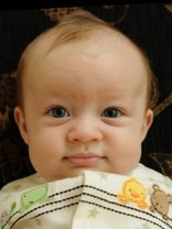 Person who looks like Danny DeVito