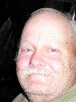 Person who looks like Wallace Shawn