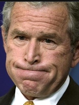 Person who looks like Harrison Ford