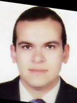 Person who looks like Daniel Gillies