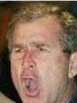 Person who looks like George W. Bush