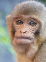 Person who looks like Jon Stewart