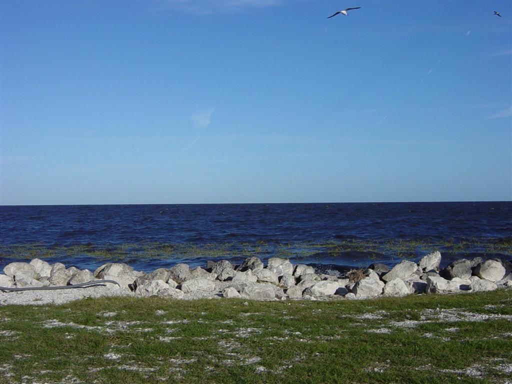 View looking across Lake Okeechobee