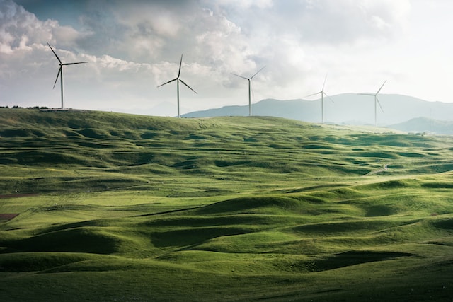 windmills in a green field