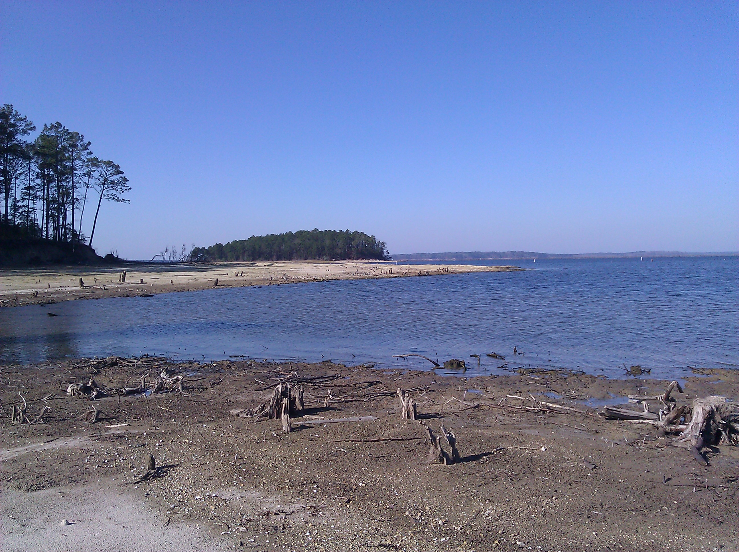 View of the Toledo Bend Reservoir from South Toledo Bend State Park